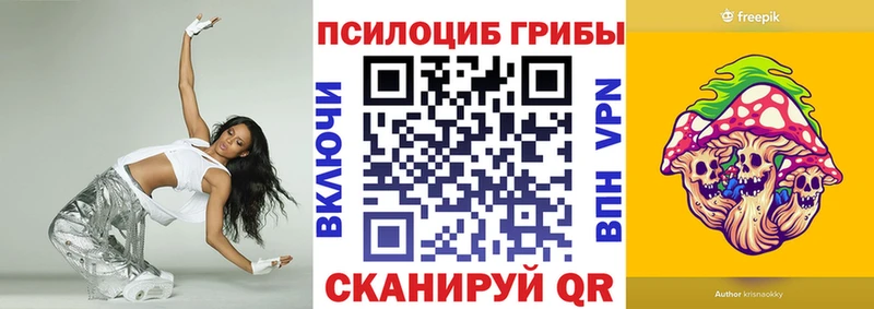 Купить закладки  Щигры  Псилоцибиновые грибы Psilocybe 